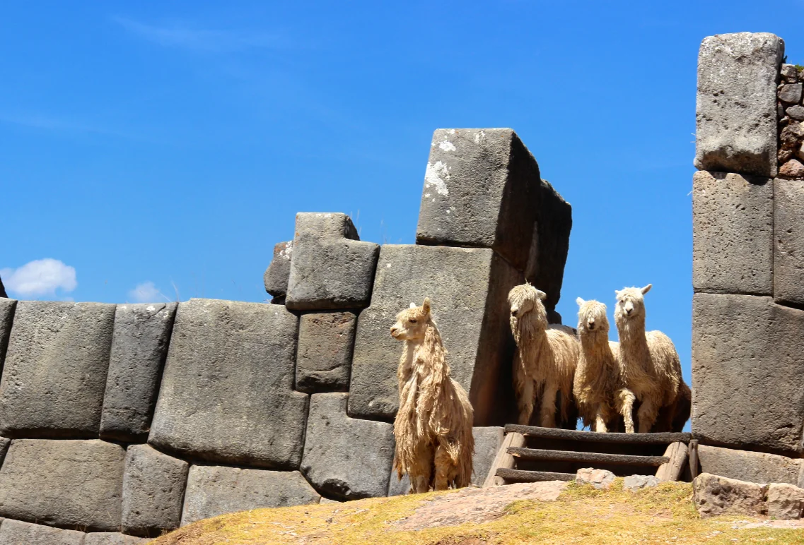 Recorrido de Cusco City Tour